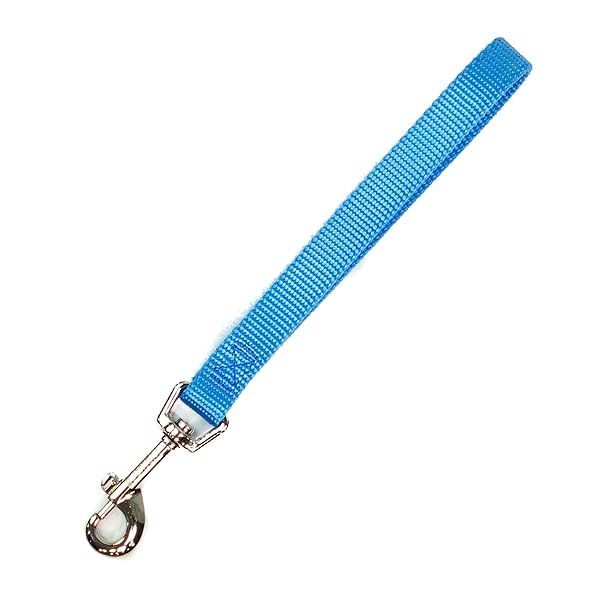 Blue-9 Blue-9 Dog Training Leash 9 Inch Tab Lead for Obedience Recall and Agility Training Made in The USA Sky Blue