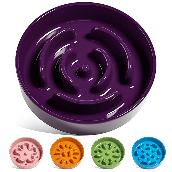 LE TAUCI LE TAUCI Elevated Ceramic Slow Feed Dog Bowls for Small and Medium Breeds Anti Gulping Maze Design Purple 1.5 Cups