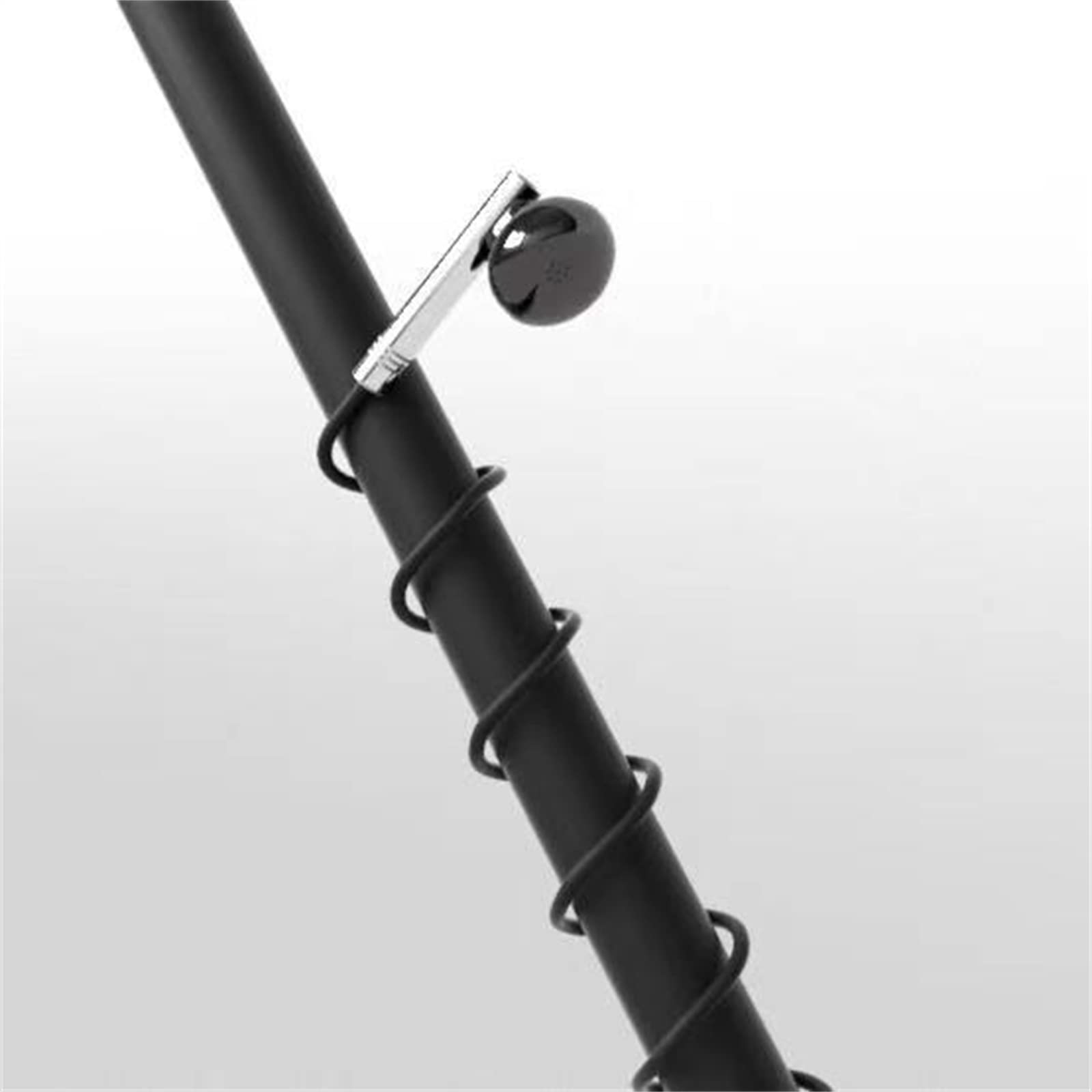 100SEASHELL - View 5 of 7