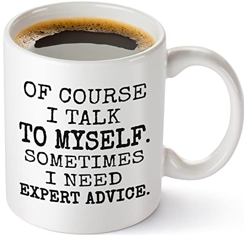 Livinges Funny Expert Mug 11oz Sarcastic Coffee Mug for Men and Women Perfect Gag Gift for Christmas Talk to Myself Mug
