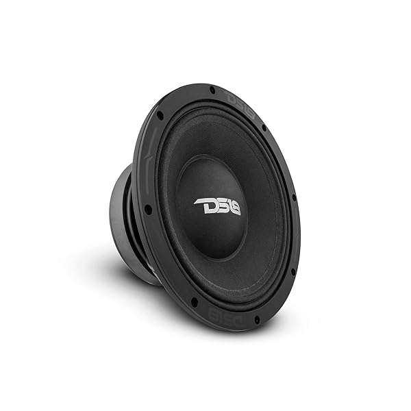 "DS18 PRO-ZXI10MBASS 10" Mid Bass Loudspeaker - 1000W 8-Ohm Car & Truck Audio Upgrade"