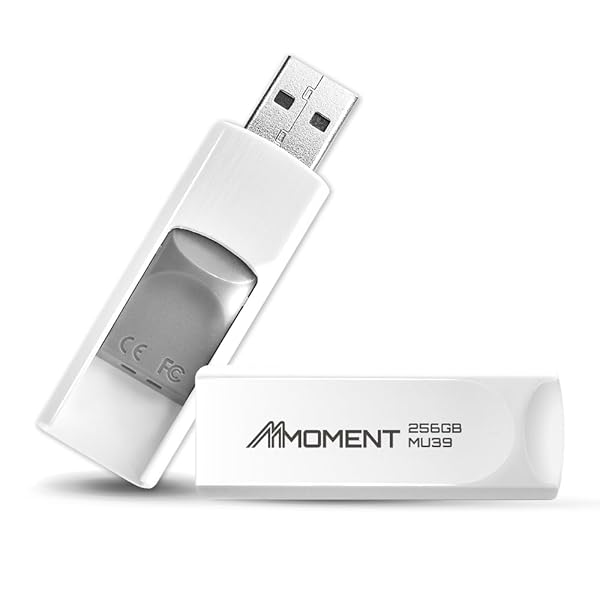 MMOMENT MMOMENT MU39 256GB USB 3.1 Flash Drive - 100MB/s Speed & Retractable Design for Easy Storage