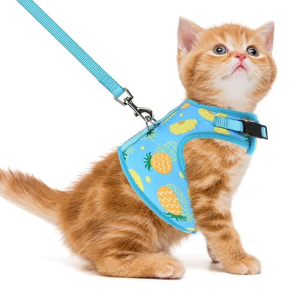 PUPTECK PUPTECK Soft Mesh Cat Vest Harness and Leash Set Escape Proof for Small Dogs Cats and Rabbits Padded Comfort Fit