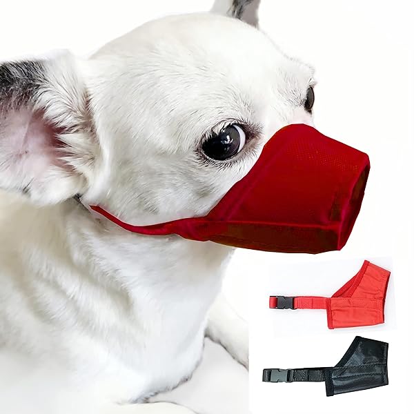 MoiiLavin MoiiLavin XS Dog Muzzle 2 Pack Soft Air Mesh for Small Dogs Adjustable Quick Fit Prevents Biting Barking Chewing Red and Black