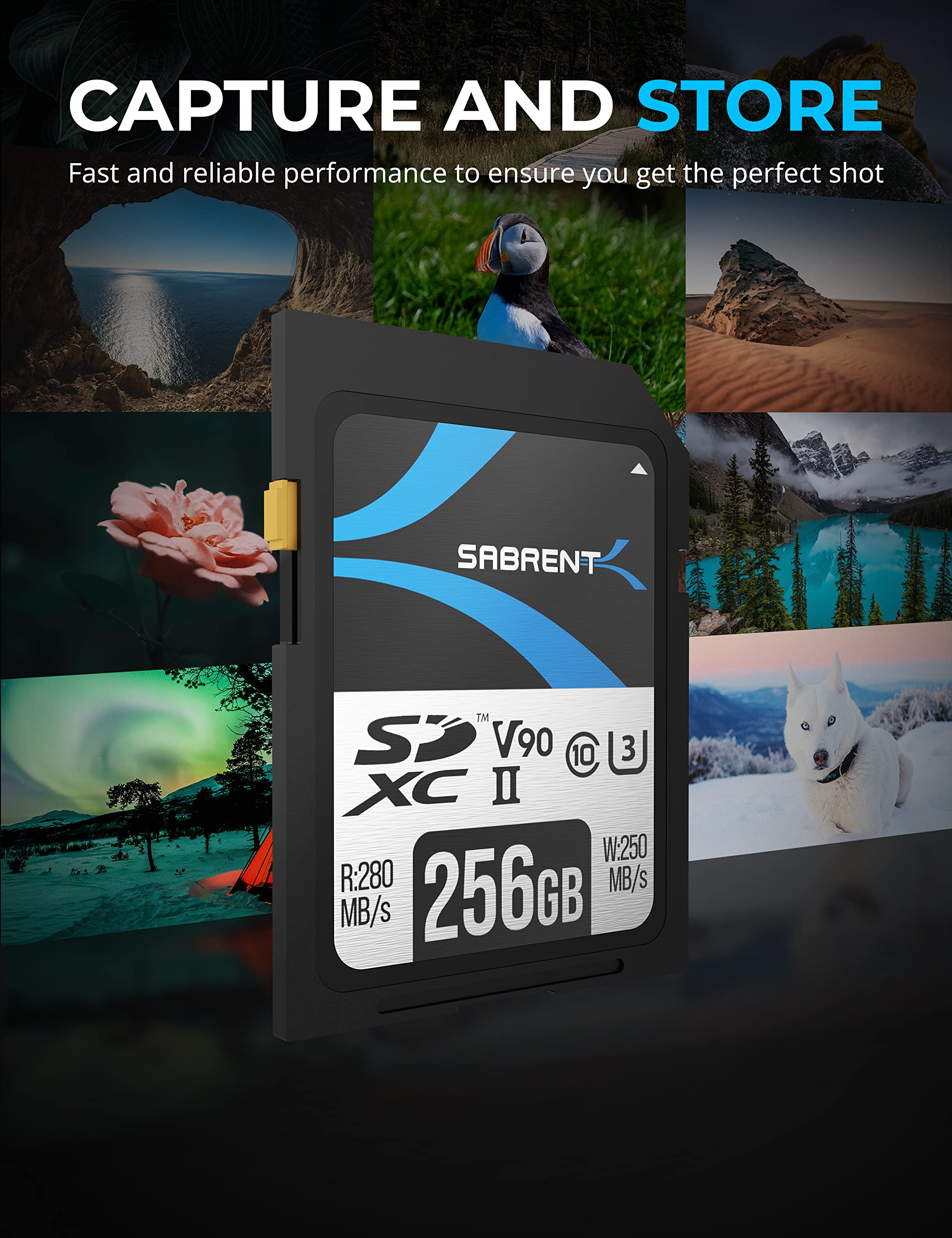 SABRENT SABRENT Rocket v90 256GB SD UHS-II Memory Card High Speed R280MBs W250MBs Ideal for Photography and Video Storage - View 2 of 7