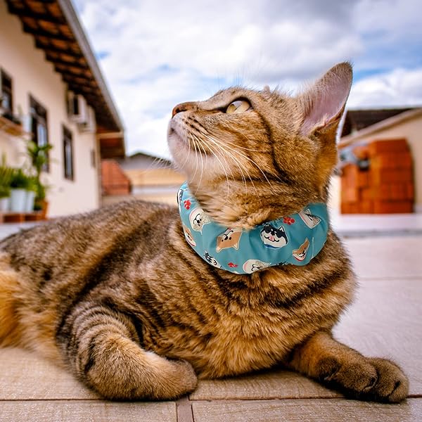 KUDES KUDES Dog Cooling Bandana Collar with Ice Packs Adjustable Chill Out Scarf for Small Medium Large Dogs Summer Blue - View 6 of 9