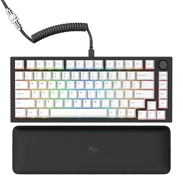 Glorious GMMK PRO 75% Mechanical Keyboard: Customizable TKL, RGB, Fox Switches, Coiled Cable & PBT Keycaps - Perfect for Gamers!