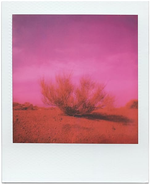 Polaroid Polaroid Go Lens Filter Set: Enhance Your Photos with 3 Color Filters for Polaroid Go Camera (6192) - View 7 of 7