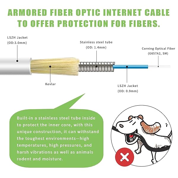 Bangun 30ft SC/APC to SC/APC Fiber Optic Cable - Armored Single Mode Jumper, OS1/OS2 Compatible, LSZH White - High-Speed Internet Solution - View 3 of 7