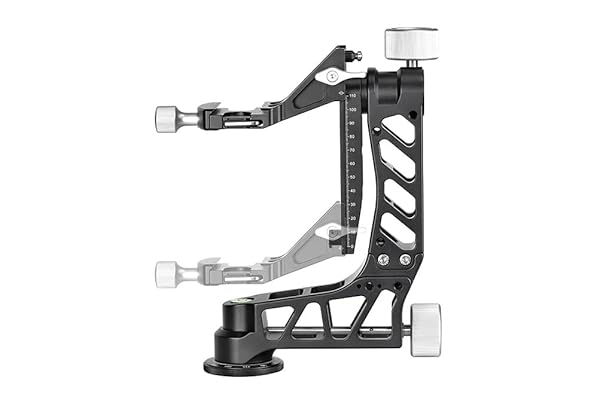 SUNWAYFOTO Buy SUNWAYFOTO GH-04 Lightweight Gimbal Head - Durable 120mm Arca Compatible Clamp for Smooth Photography - View 5 of 11