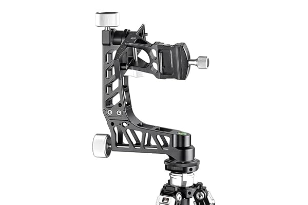 SUNWAYFOTO Buy SUNWAYFOTO GH-04 Lightweight Gimbal Head - Durable 120mm Arca Compatible Clamp for Smooth Photography - View 6 of 11
