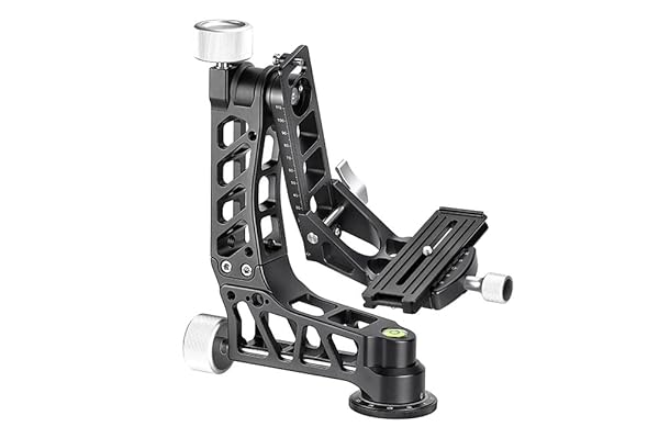 Buy SUNWAYFOTO GH-04 Lightweight Gimbal Head - Durable 120mm Arca Compatible Clamp for Smooth Photography