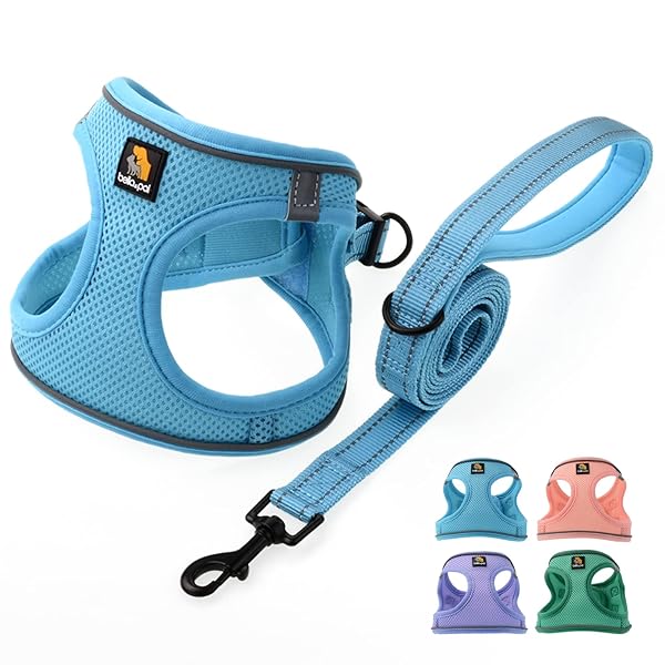 BELLA & PAL BELLA PAL Puppy Harness and Leash Set No Pull Step-in Harness for Extra Small Dogs Blue XS