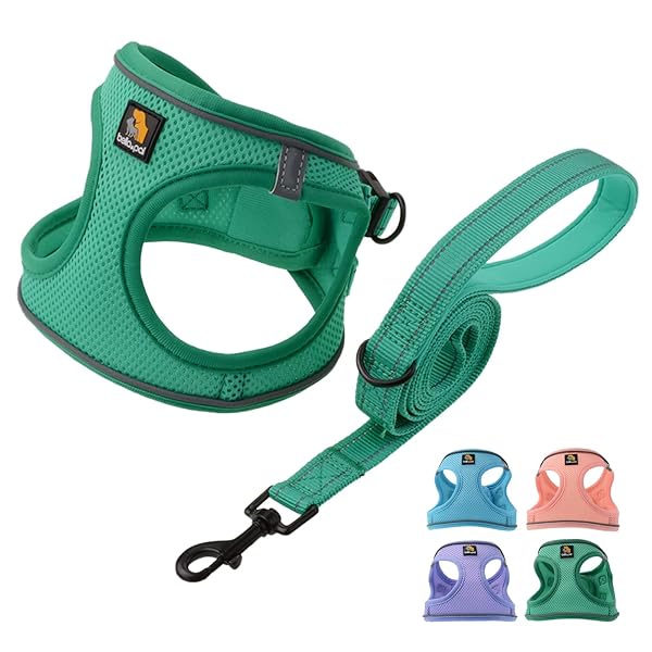 BELLA & PAL BELLA PAL Small Emerald Dog Harness and Leash Set No Pull Step in Design Reflective Lightweight Mesh S