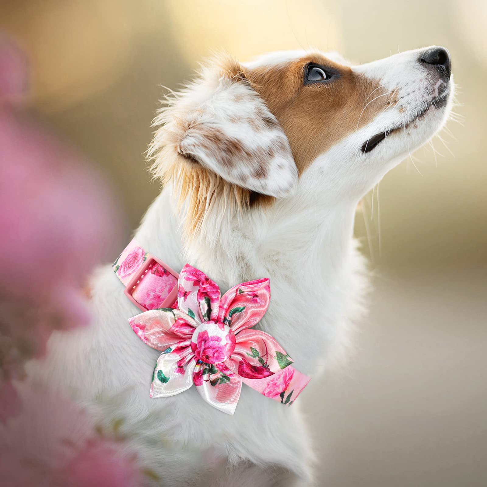 DQGHQME Floral Pink Dog Collar with Bow Tie for Cute Female Dogs and Cats Perfect for Spring and Summer for Small Medium Large Pets - View 2 of 6
