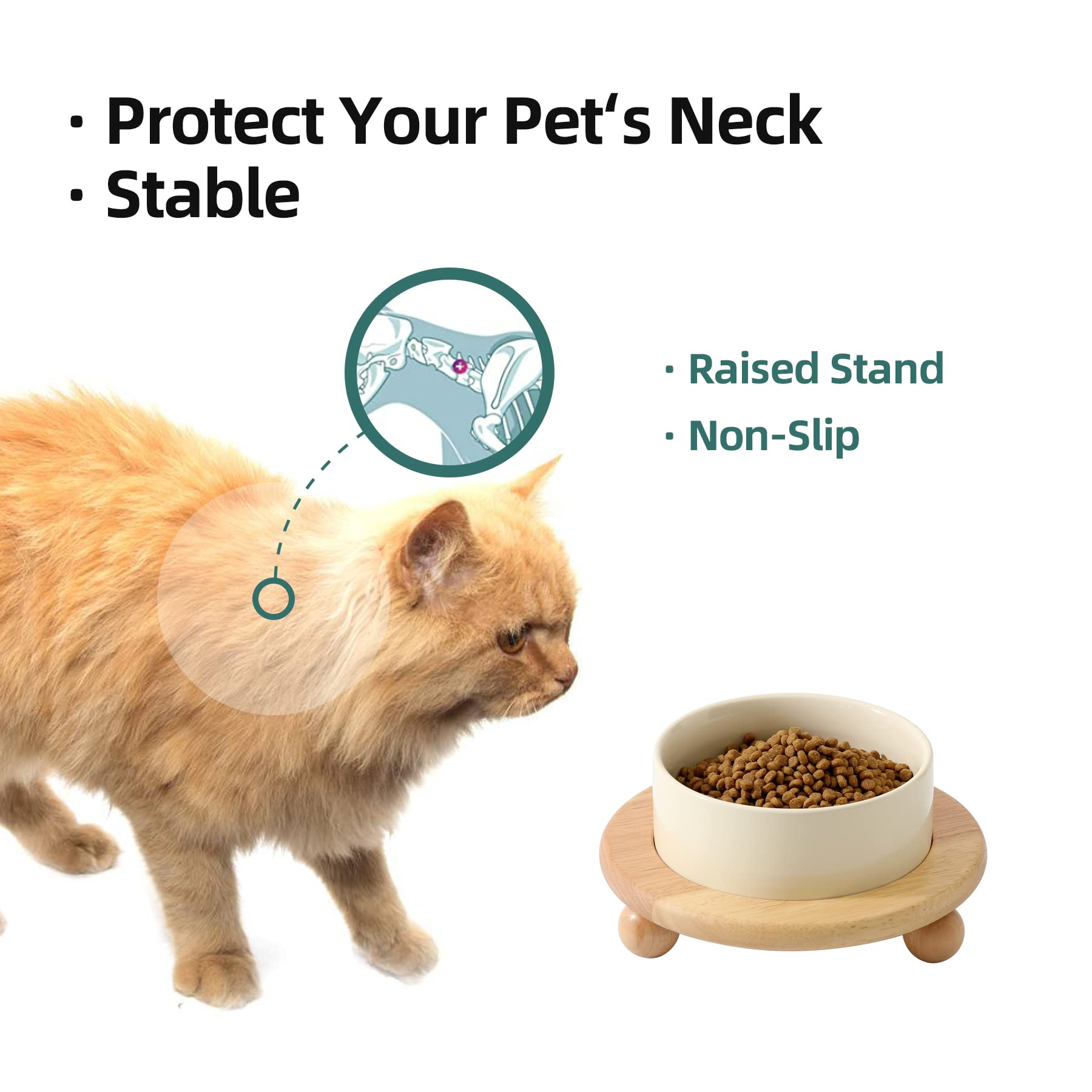 Havniva Havniva Ceramic Elevated Cat Food and Water Bowl Raised Cat Dish for Comfortable Feeding Beige Stand 5.1 in - View 5 of 7