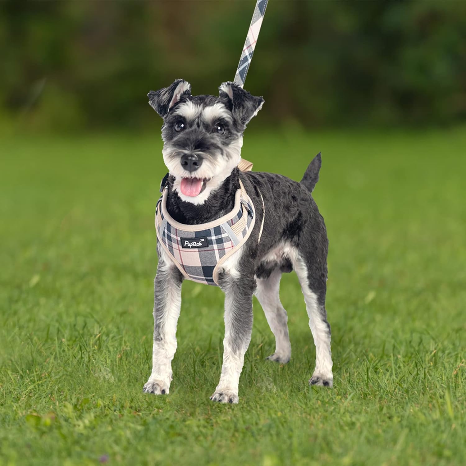 PUPTECK PUPTECK Adjustable No Pull Dog Harness and Leash Set for Small Medium Dogs and Cats Soft Mesh Padded Reflective Beige Pet Accessories - View 7 of 7