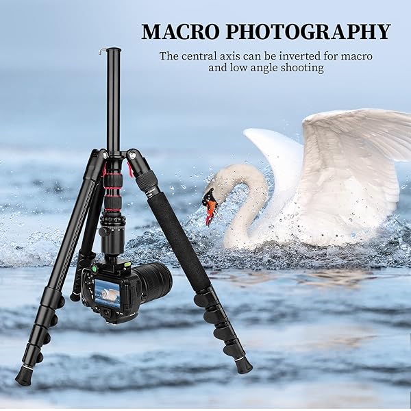 Victiv Tripod for Camera, Victiv 81 inch Professional Camera Tripod Monopod, Tall DSLR Tripod Heavy Duty, Aluminium Compact Travel Tripod with Phone Mount, Compatible with Canon Nikon Sony - View 6 of 11