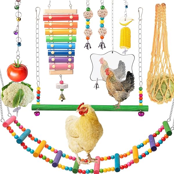 KAKUNM Chicken Coop Toys 9PCS Set Xylophone Swing Mirror Flexible Ladder Vegetable String Bag Hanging Feeder for Happy Chickens
