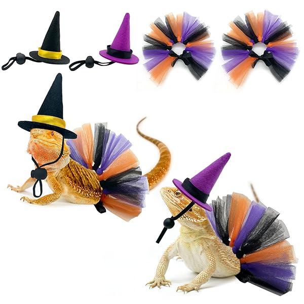 Vehomy Vehomy 4Pcs Halloween Lizard Witch Costume Set Tutu Skirts and Hats for Chick Hamster Bird Parrot Bearded Dragon