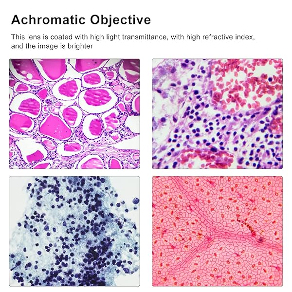 YWBL-WH 20X Brass Achromatic Objective Lens for Biological Microscopes - 20mm Thread Telescope Accessory - View 3 of 10