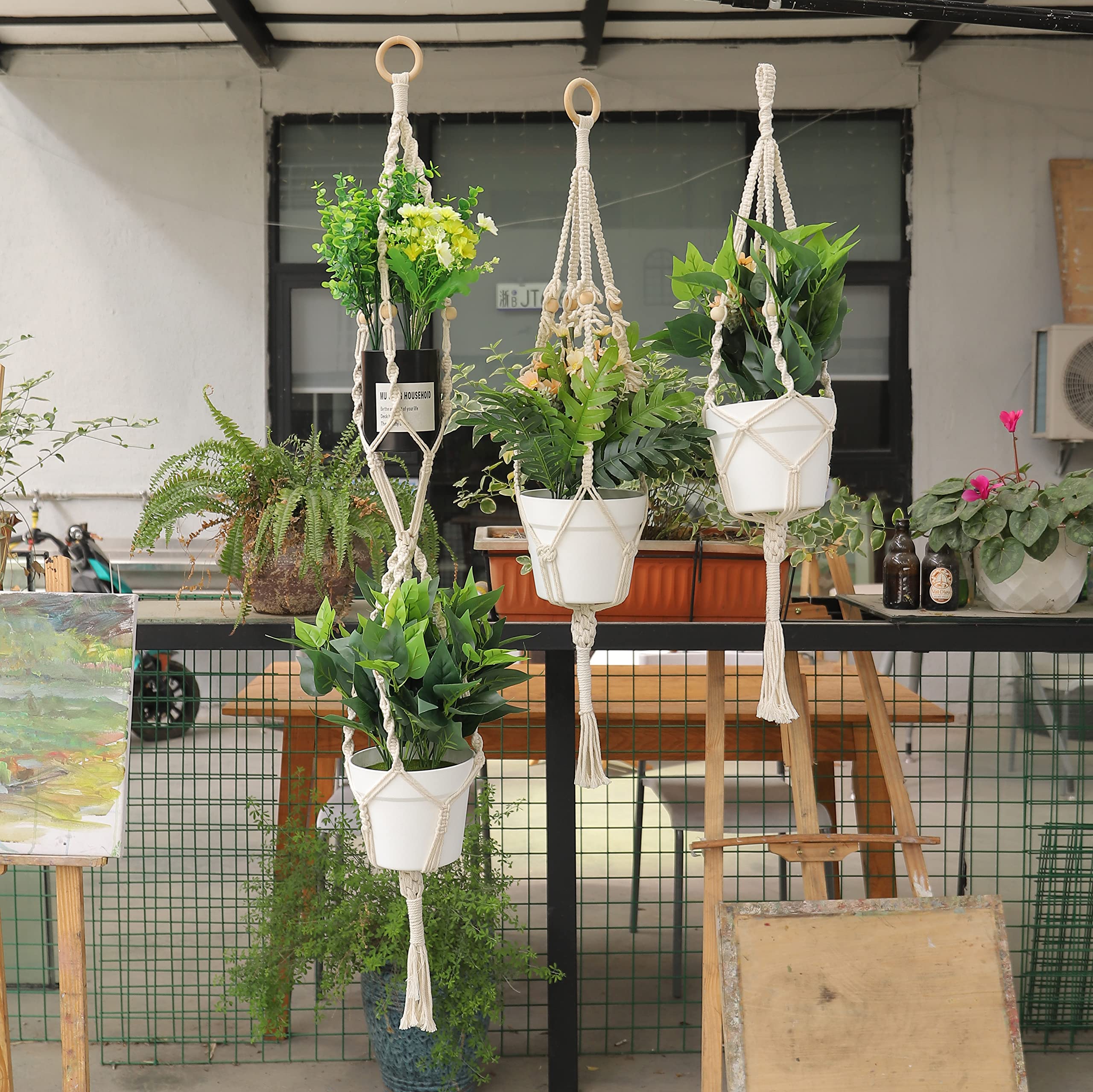 MAOQIAN MAOQIAN 3 in 1 Macrame Kit for Beginners with 220 Yards Cotton Cord and DIY Plant Hanger Kits Ideal for Adults and Craft Enthusiasts - View 6 of 7