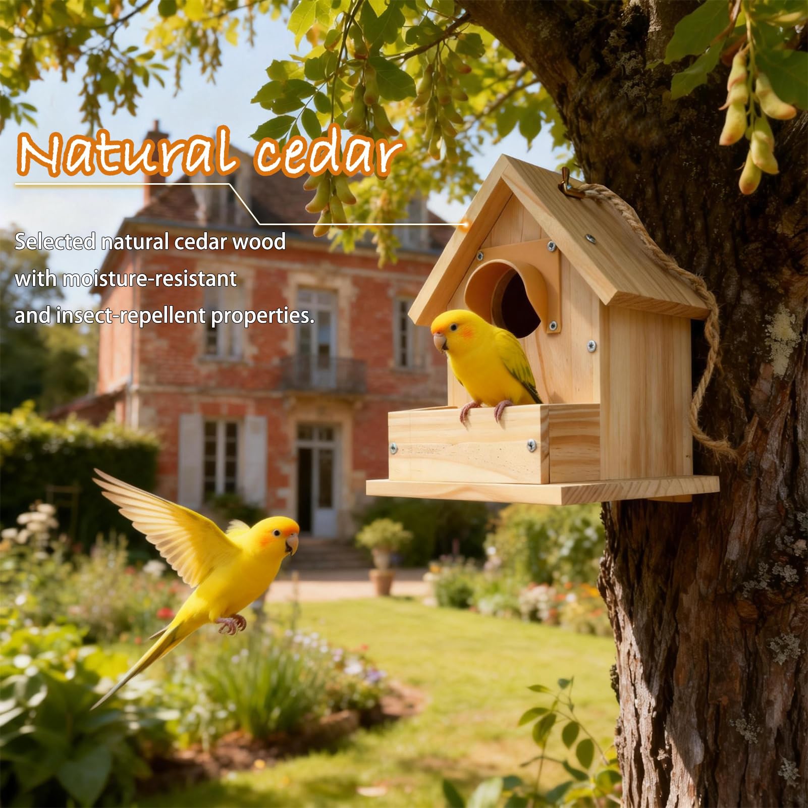 Paiaojia DIY Outdoor Wooden Bird House Kit for Easy Assembly Perfect for Backyard Patio Decor and Bird Nesting 4.6 Inches with Bolt Driver - View 4 of 8