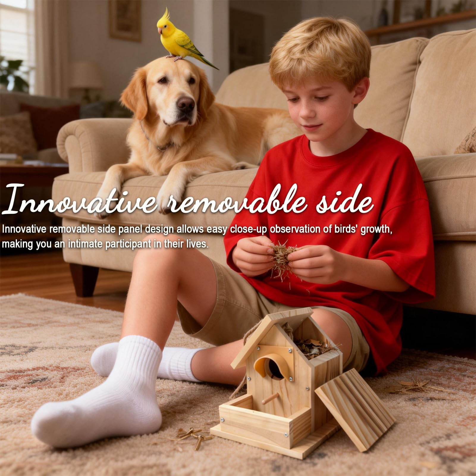 Paiaojia DIY Outdoor Wooden Bird House Kit for Easy Assembly Perfect for Backyard Patio Decor and Bird Nesting 4.6 Inches with Bolt Driver - View 5 of 8