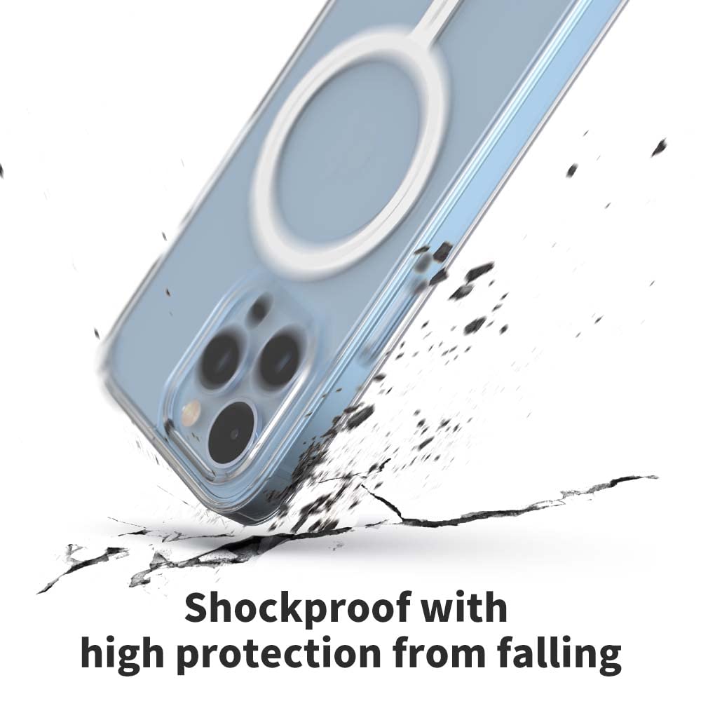 Sinjimoru - View 2 of 8