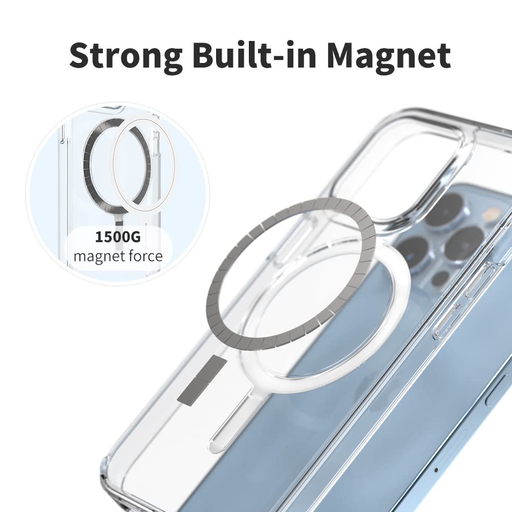 Sinjimoru - View 3 of 8