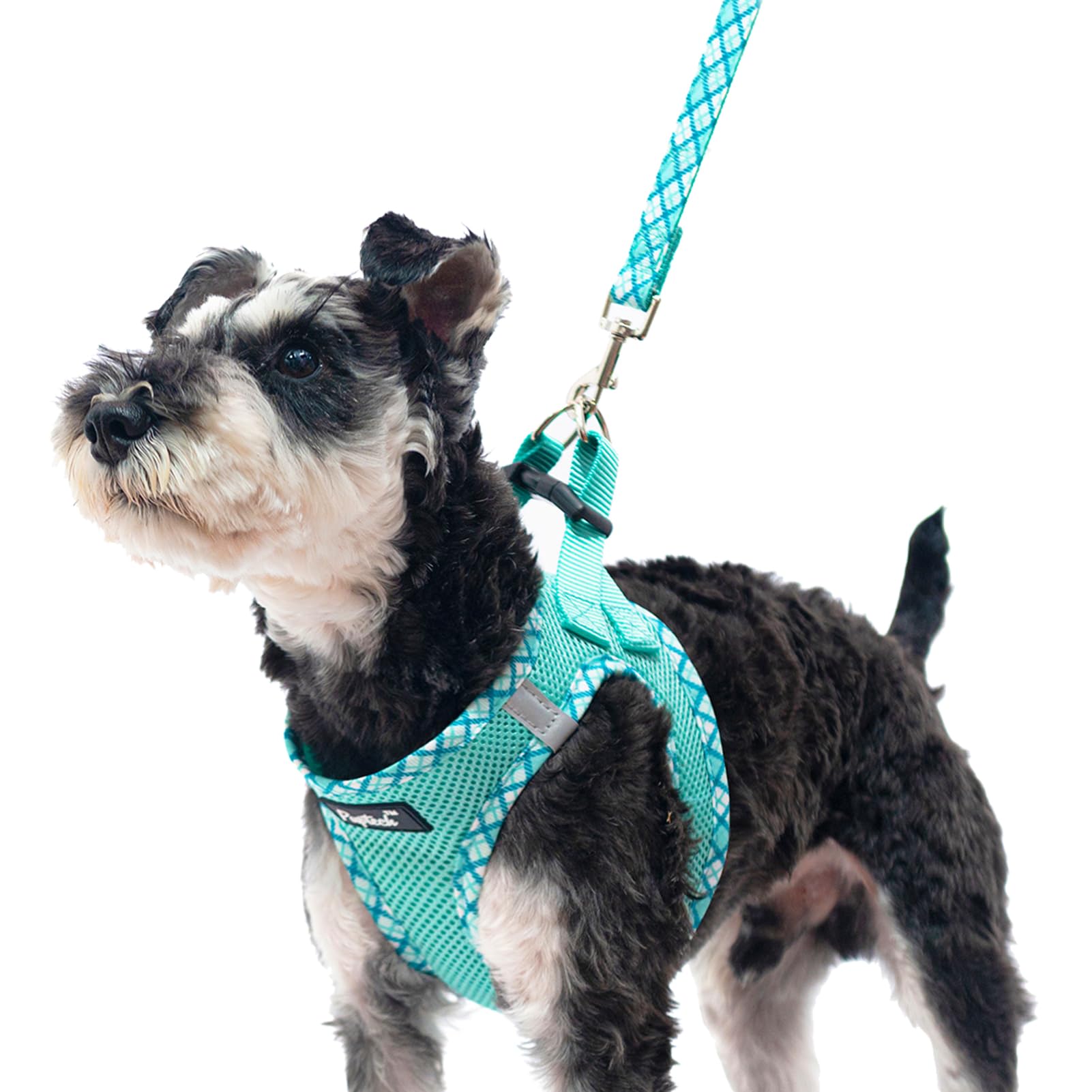 PUPTECK PUPTECK Dog Harness and Leash Set No Pull Soft Mesh Vest for Small Medium Dogs Reflective Green Size S