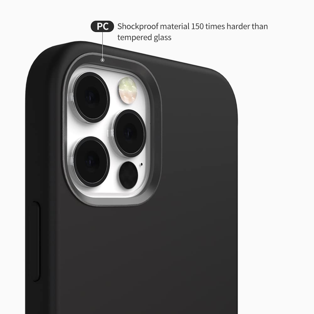 Sinjimoru - View 4 of 7