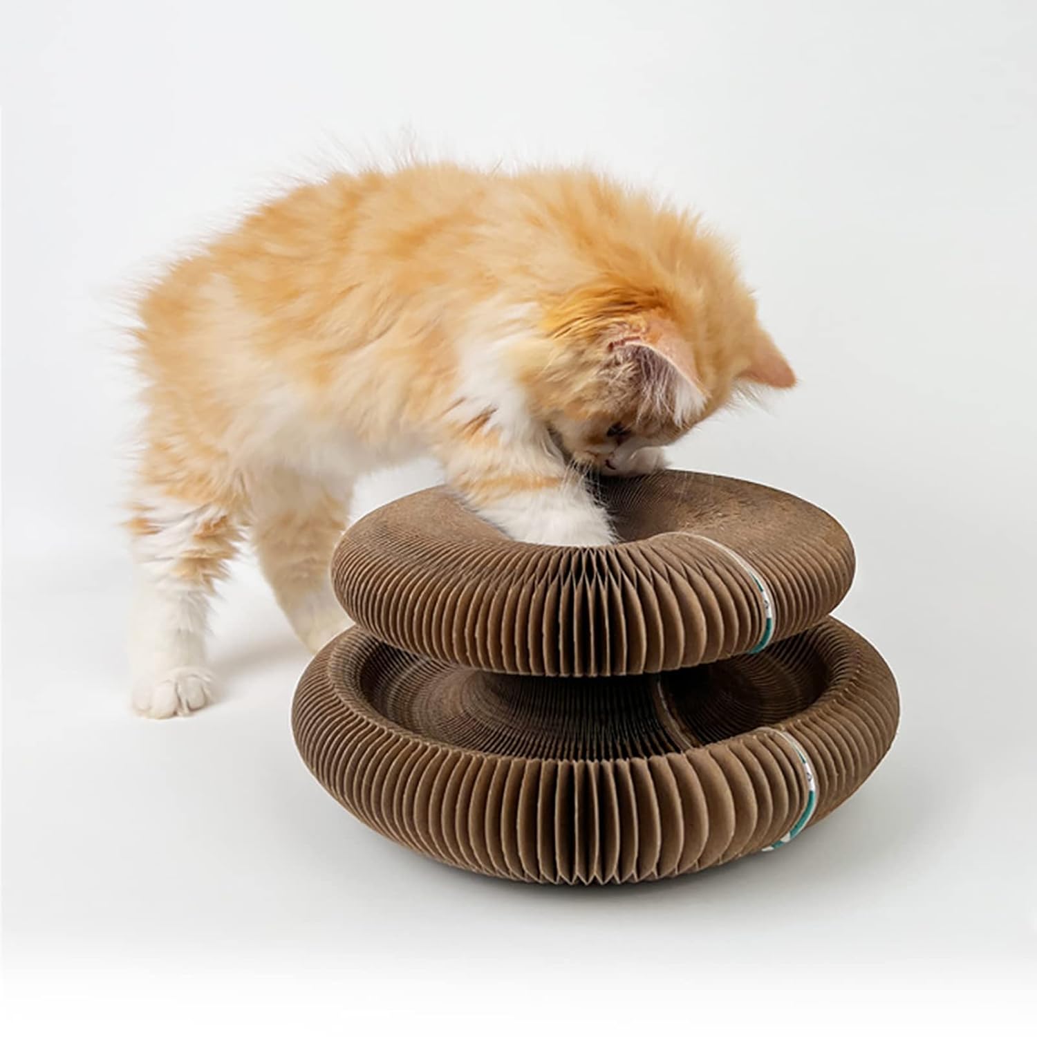 Cdipesp Cdipesp Magic Organ Cat Scratching Board Cat Butler Snuffle Paw Accordion Catcordion Cardboard Slinky Toy for Cats - View 7 of 7