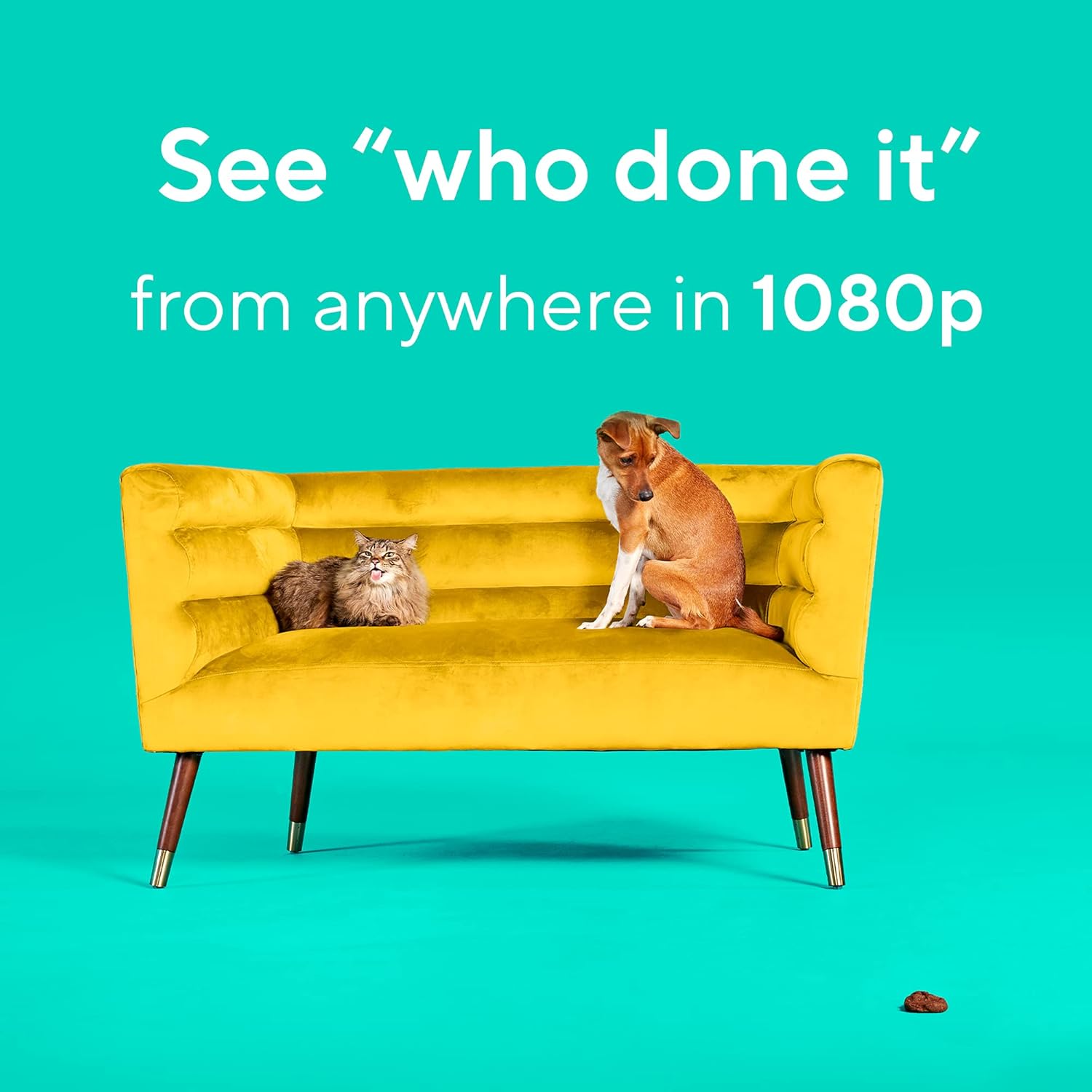 WYZE Wyze Cam Pan v2 360 Degree Pet Camera with Phone App Indoor Smart Security Camera for Dog Cat Baby Elderly Monitoring 2 Pack - View 7 of 7