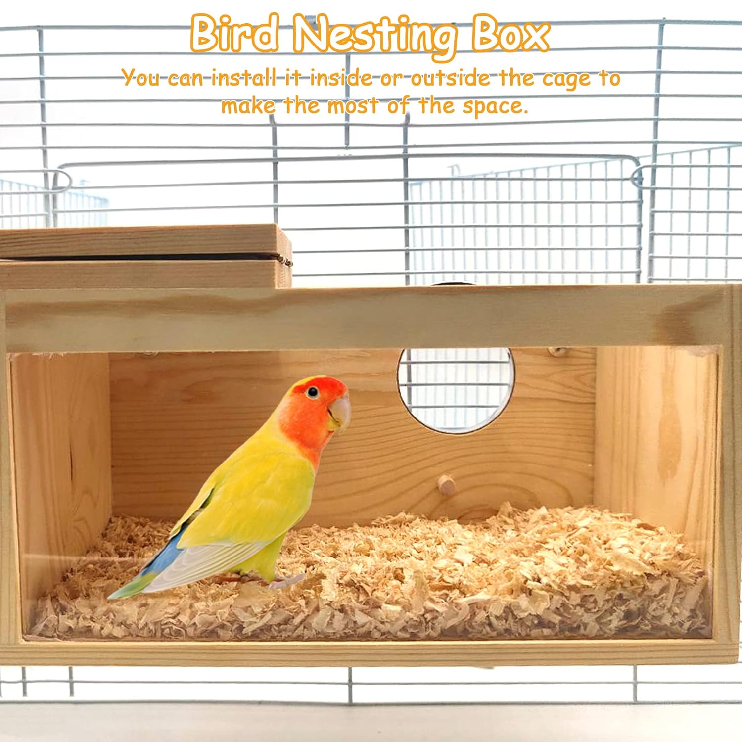PINVNBY PINVNBY Natural Wood Parakeet Nesting Box for Budgies and Small Birds Transparent Panoramic Design Ideal for Breeding and Caging - View 5 of 7