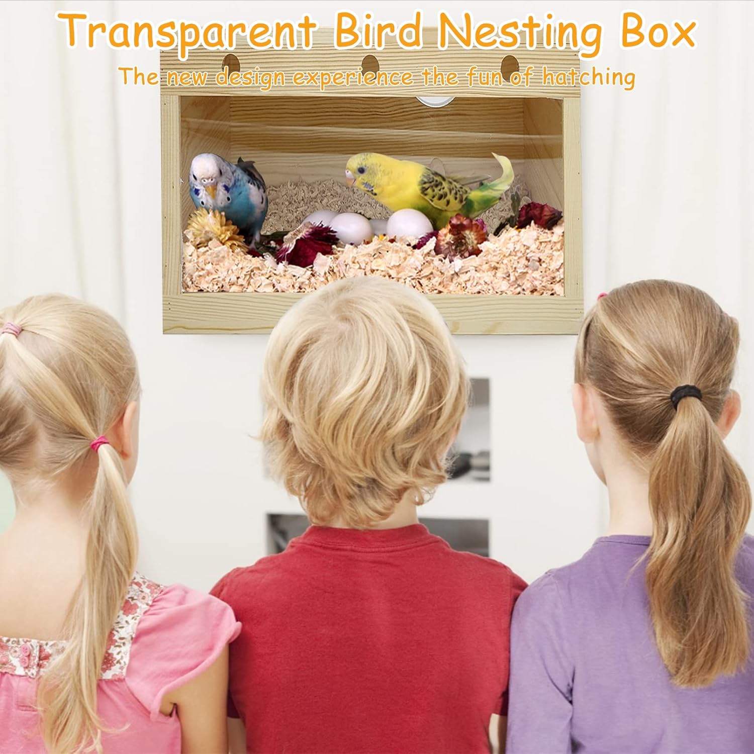 PINVNBY PINVNBY Natural Wood Parakeet Nesting Box for Budgies and Small Birds Transparent Panoramic Design Ideal for Breeding and Caging - View 6 of 7