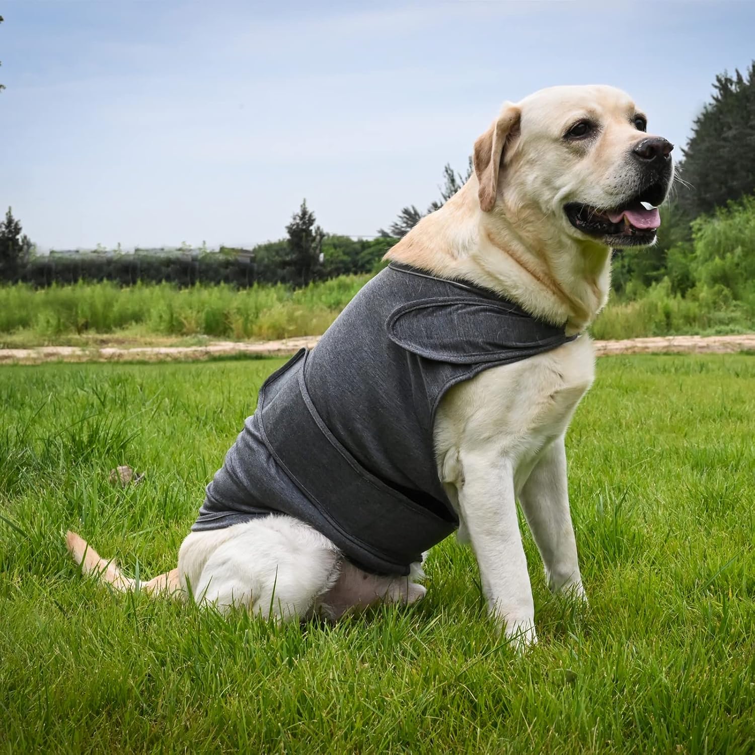 HCHYEY HCHYEY Dog Anxiety Jacket Skin Friendly Calming Shirt for Dogs Anti Anxiety Vest for Thunder Fireworks Separation Dark Grey XL - View 6 of 9