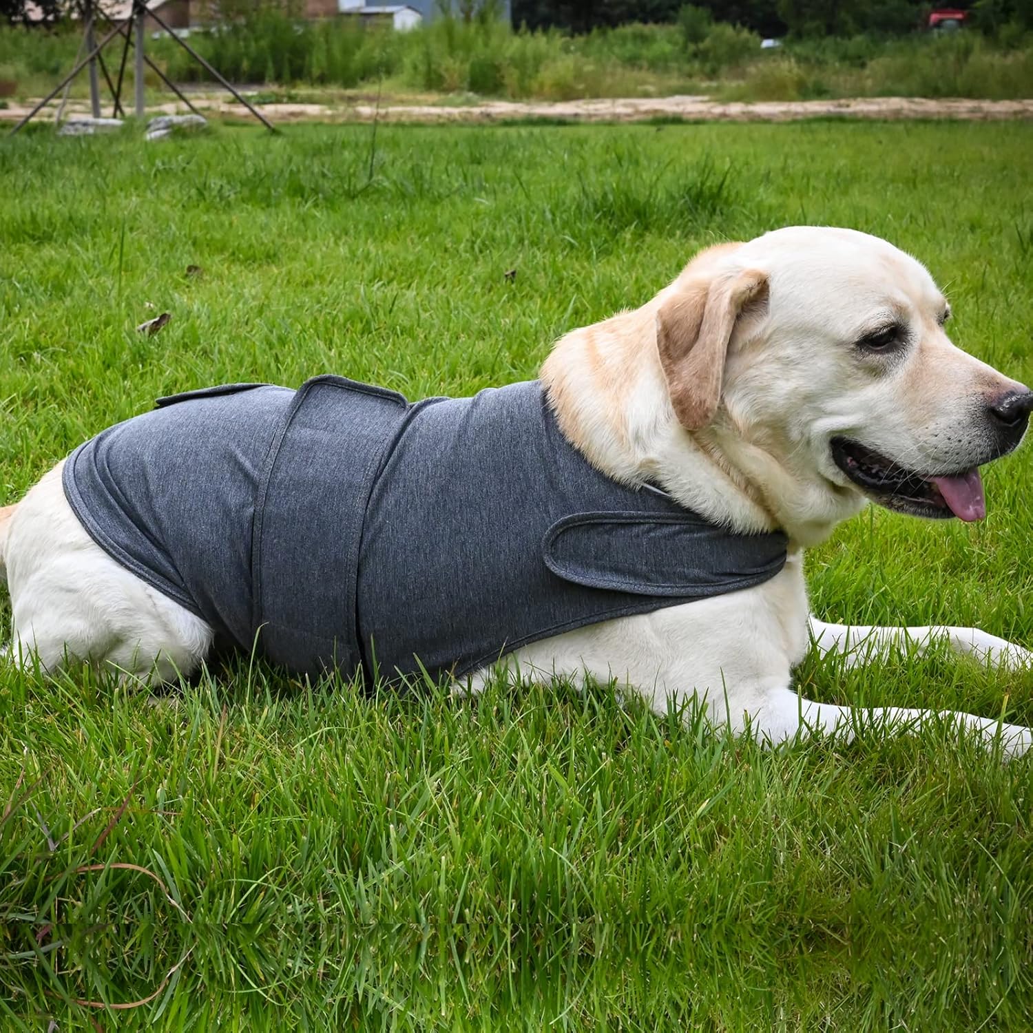 HCHYEY HCHYEY Dog Anxiety Jacket Calming Shirt for Thunder Fireworks Separation Anti Anxiety Vest for Dogs Dark Grey Large - View 7 of 9