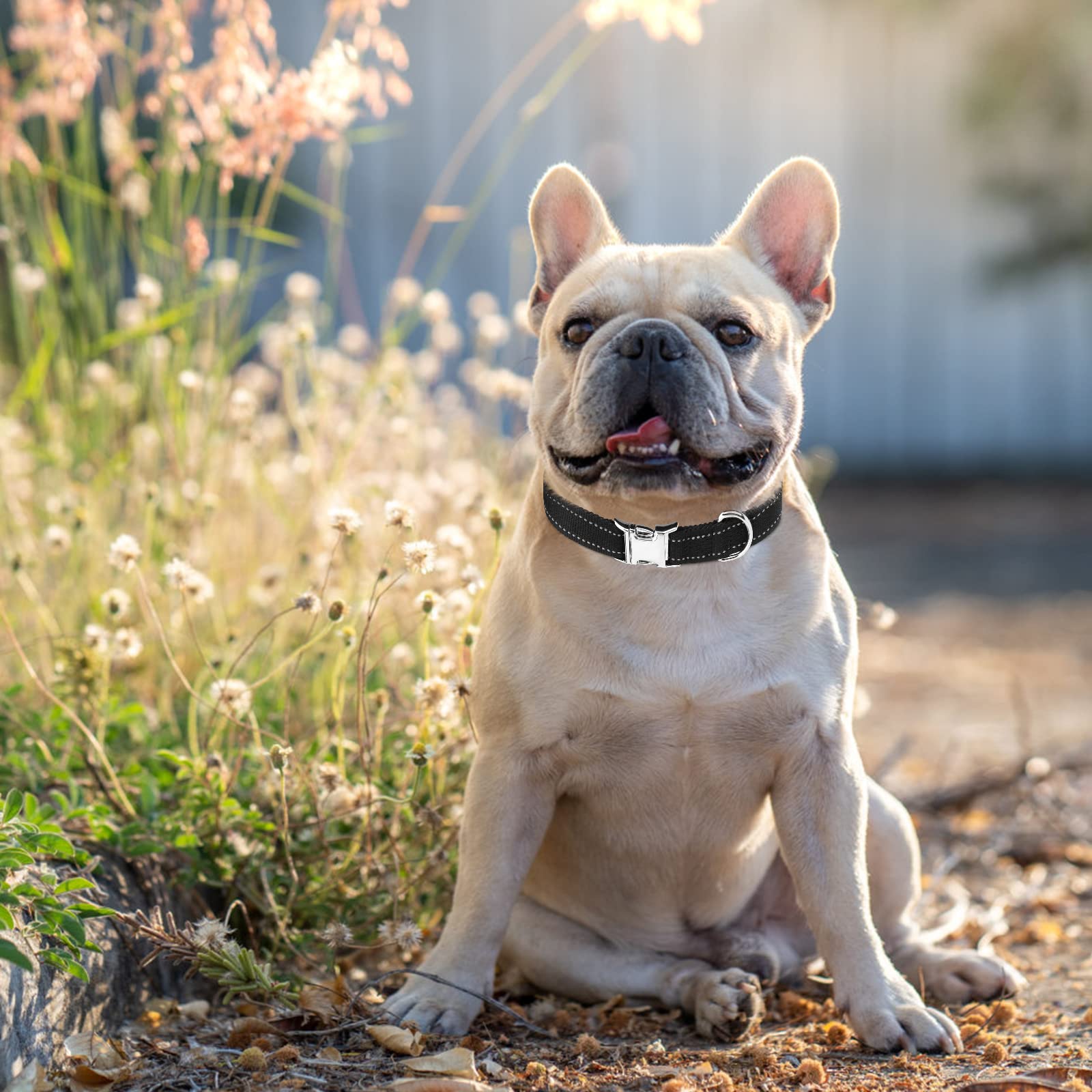 ESGPET ESGPET Reflective Dog Collar Strap Replacement for Shock Collars Compatible with Most Brands 2 Pack - View 6 of 7