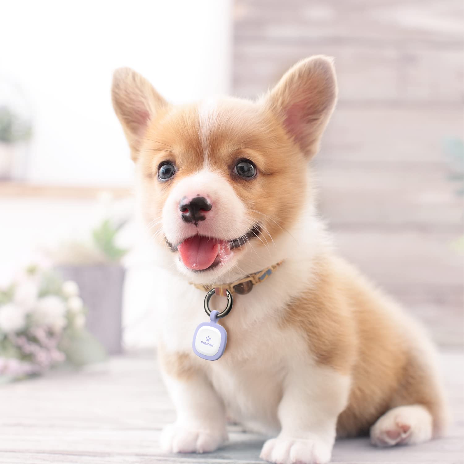 Pawaii Pawaii QR Code Pet ID Tag Pink Silent Silicone Dog Tag with Modifiable Online Profile and Free Emergency Contact Page 1Pack - View 7 of 8