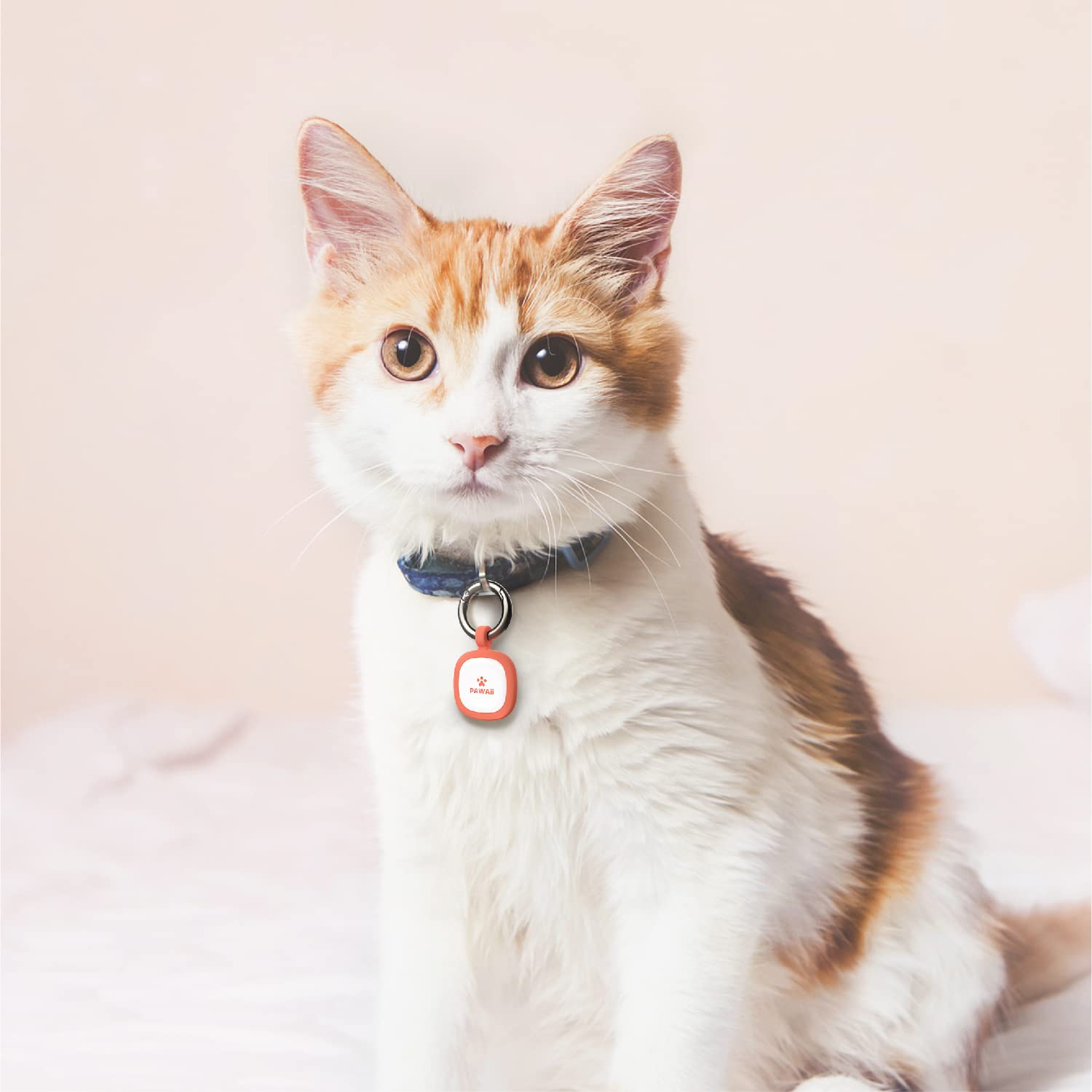 Pawaii Pawaii QR Code Pet ID Tag Pink Silent Silicone Dog Tag with Modifiable Online Profile and Free Emergency Contact Page 1Pack - View 8 of 8