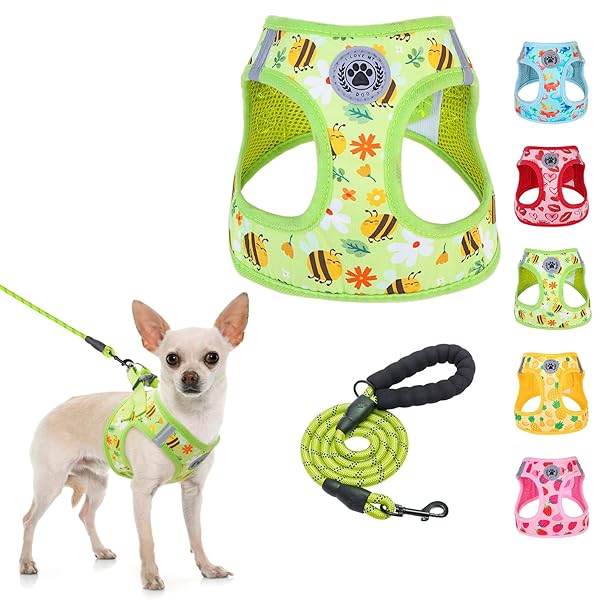 BEAUTYZOO BEAUTYZOO Small Dog Harness and Leash Set Soft Mesh No Pull Reflective Plaid Vest for Extra Small Small Medium Dogs and Cats Red S