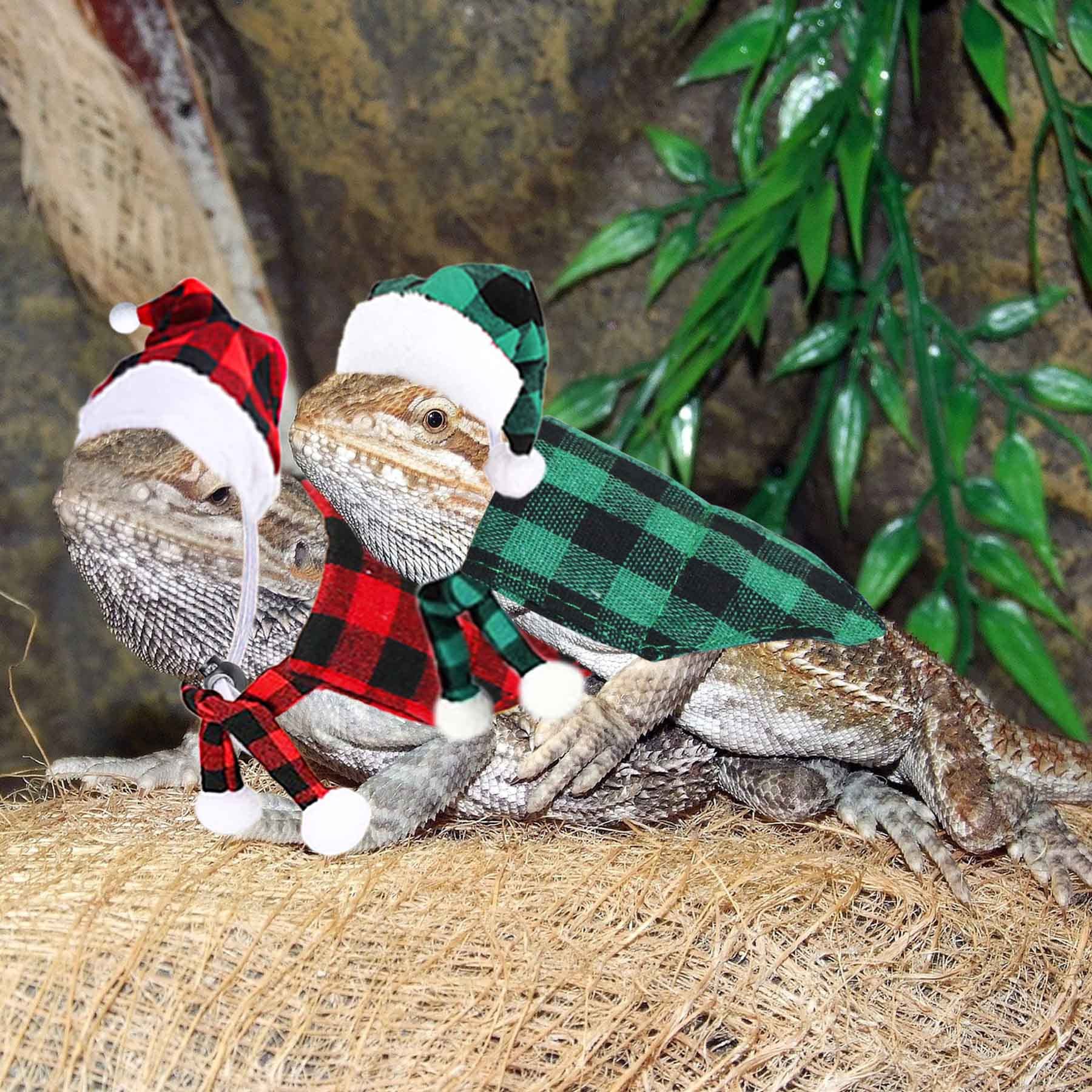 JOTFA JOTFA 6 Pieces Christmas Costumes for Bearded Dragons and Small Pets with Hats and Bandanas - View 5 of 7