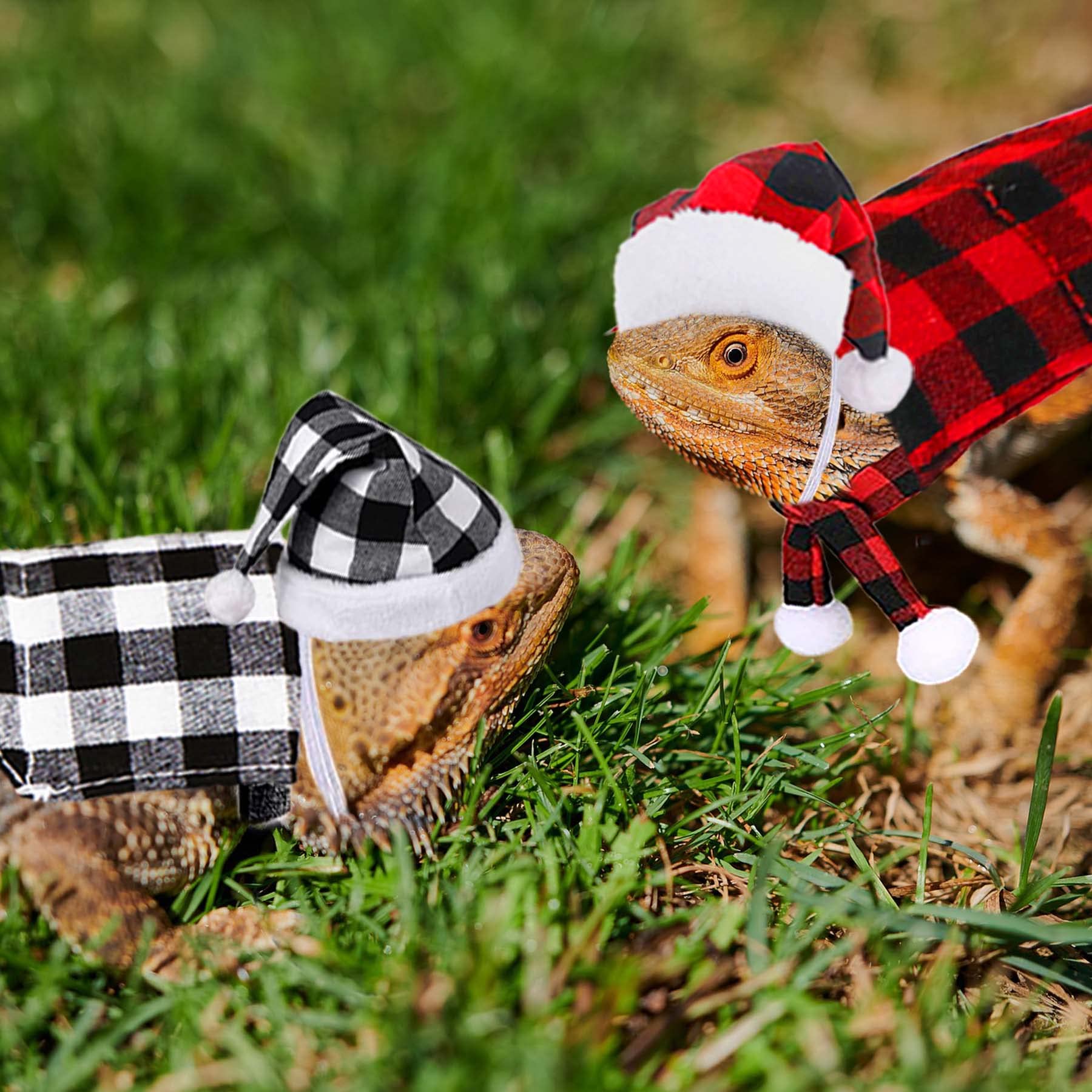 JOTFA JOTFA 6 Pieces Christmas Costumes for Bearded Dragons and Small Pets with Hats and Bandanas - View 6 of 7
