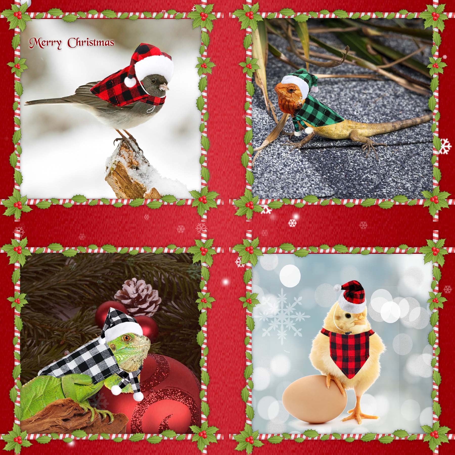 JOTFA JOTFA 6 Pieces Christmas Costumes for Bearded Dragons and Small Pets with Hats and Bandanas - View 7 of 7