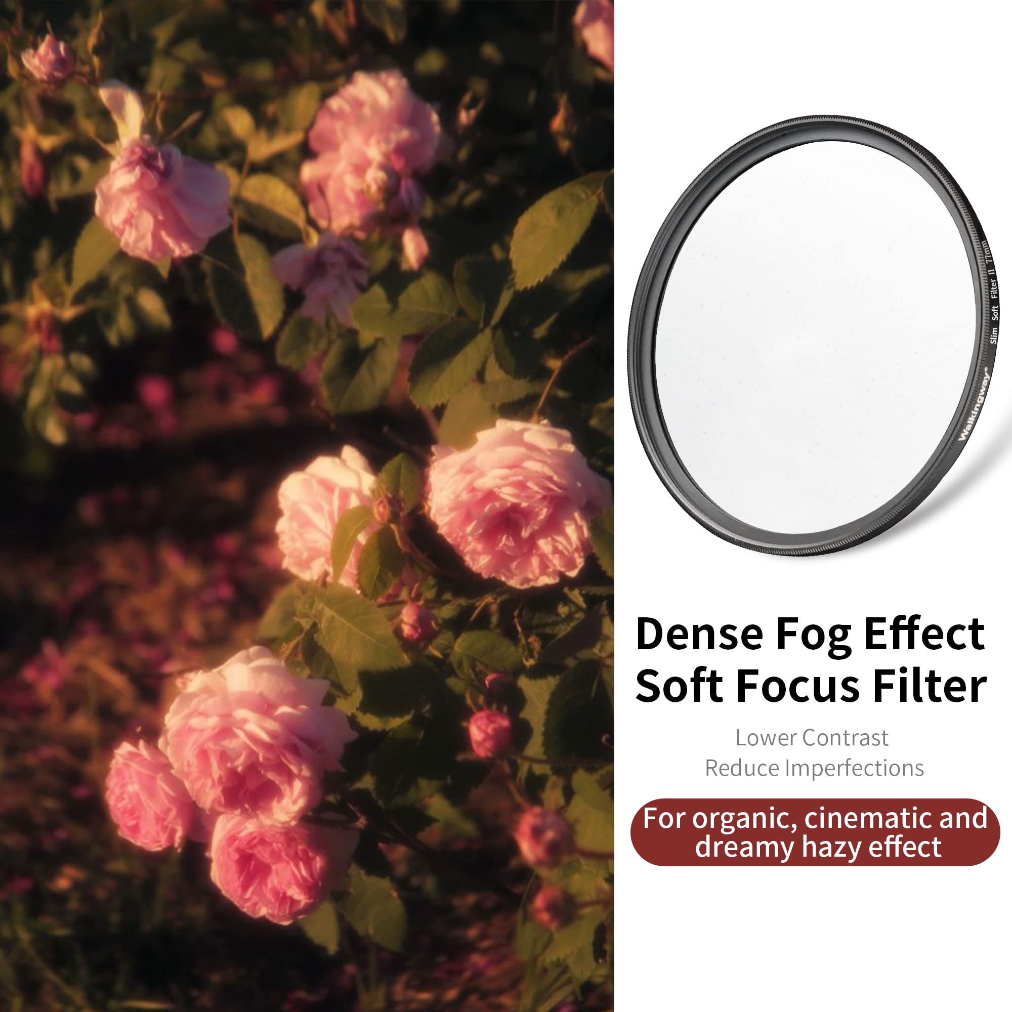 Walking Way 40.5MM White Mist Diffusion Filter for DSLR Camera - Strong Soft Focus Lens for Dreamy Fog Effect Photography - View 2 of 7
