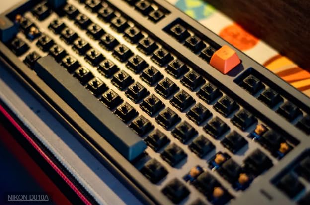 Gateron Oil King V2 Linear Switch - 55g Mechanical Keyboard Switches, 5 Pin Factory Pre-Lubed for Smooth and Quiet Typing, Compatible with Custom - View 6 of 6