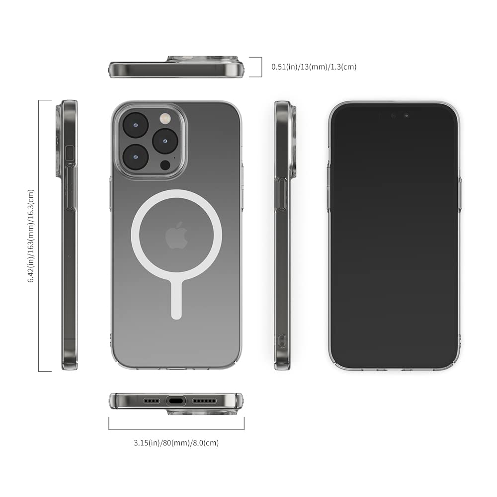 Sinjimoru - View 6 of 7