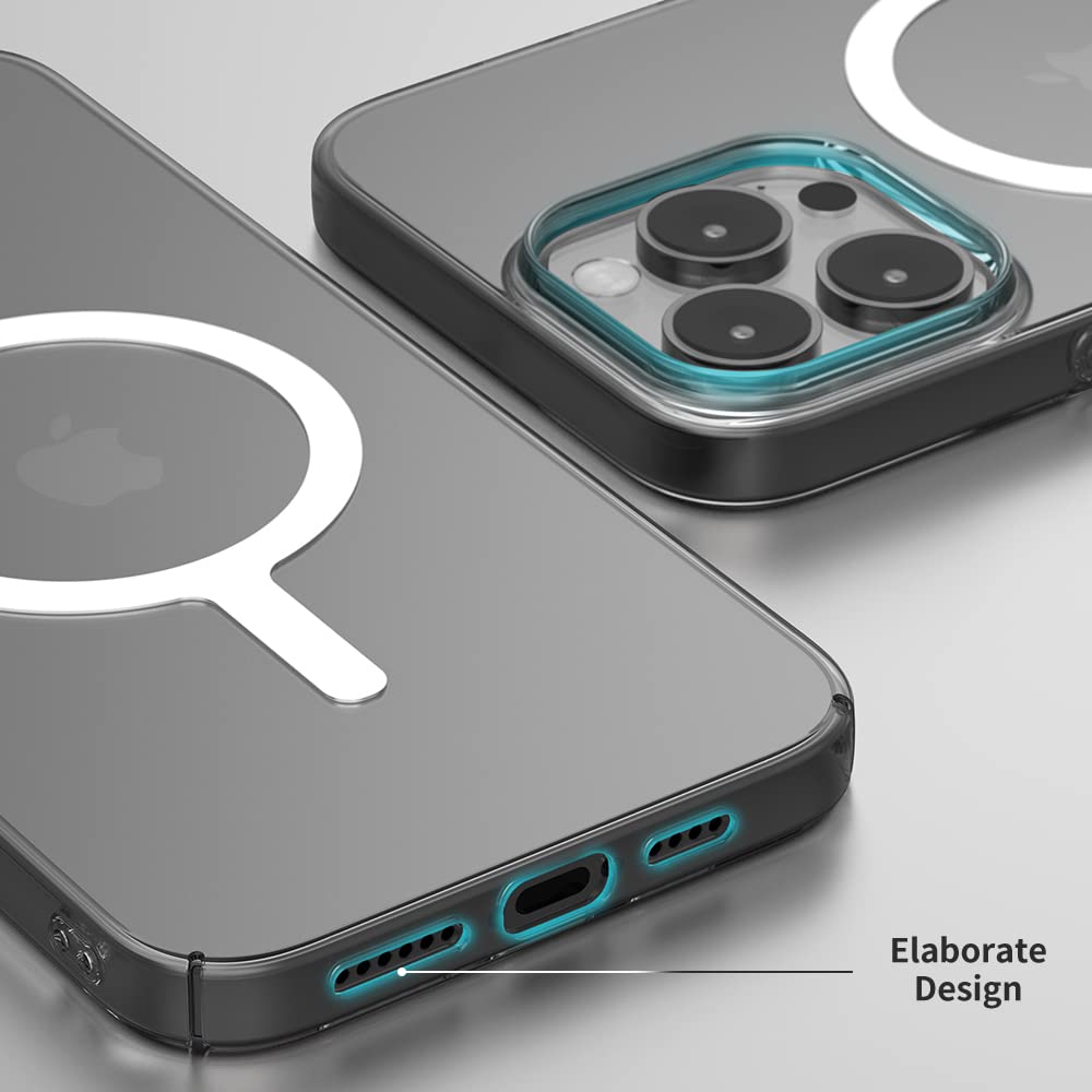 Sinjimoru - View 4 of 7