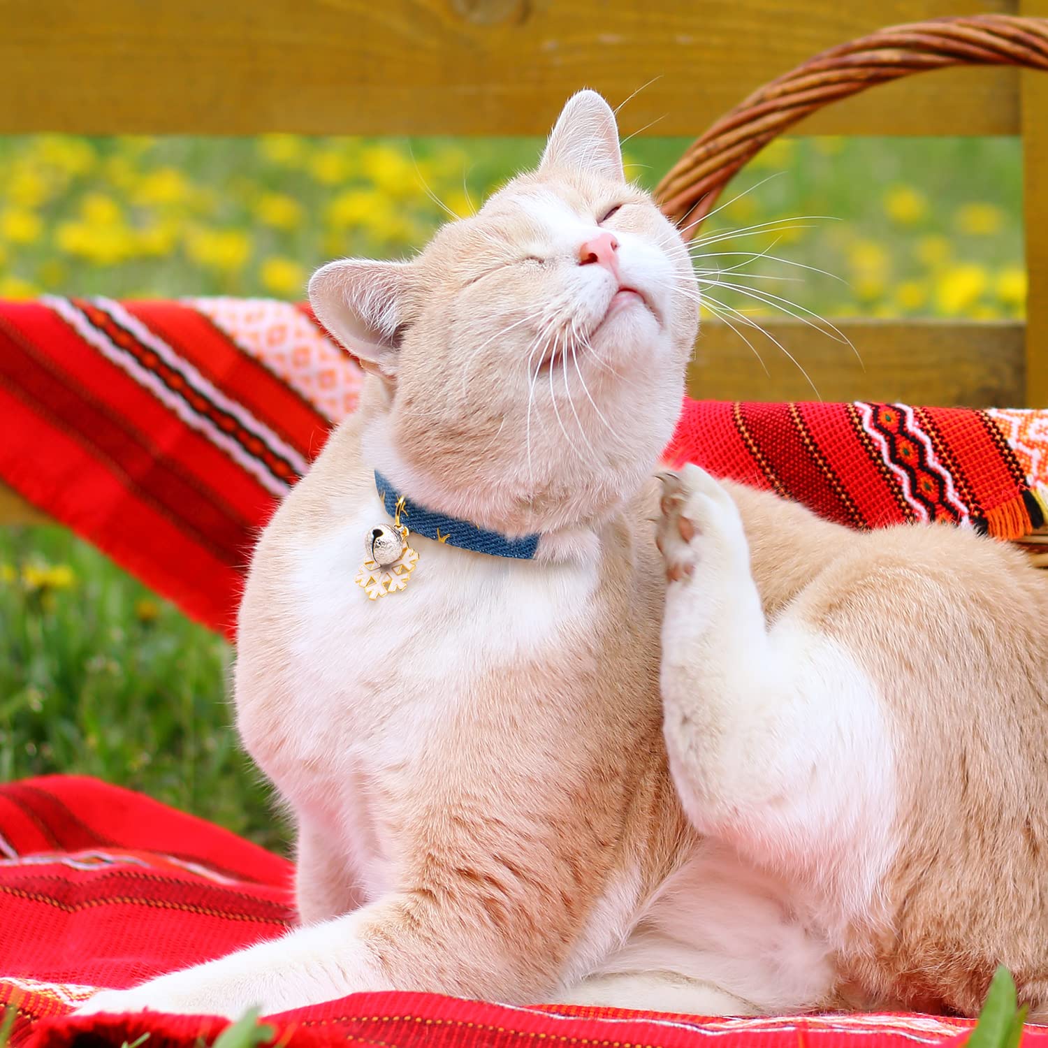 Liugjiau 2 Pack Cotton Breakaway Cat Collar with Bell Dark Blue Light Blue Snowflake Pendant Cute Kitten Collar for Boys and Girls - View 7 of 8